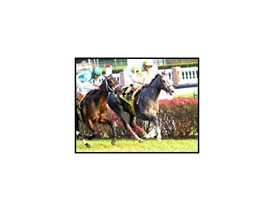 Snow Dance holds off Stylish to win the Mrs. Revere at Churchill Downs.