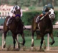 Chilukki Races Friday in Saratoga Allowance Chilukki Races Friday in Saratoga Allowance