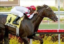 Grade I Winner Splendid Blended Retired Grade I Winner Splendid Blended Retired