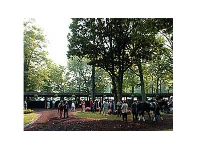 Delaware Park
