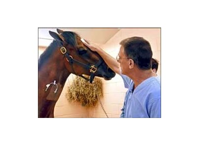 Veterinary surgeon Dr. Dean Richardson rubs Kentucky Derby winner Barbaro's head in the intensive care unit.