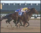 Competitive Field Taking Shape For March 17 Gotham Competitive Field Taking Shape For March 17 Gotham