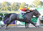 My Jen Plucks Gallant Bloom in 12-1 Surprise My Jen Plucks Gallant Bloom in 12-1 Surprise