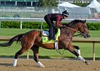 Firing Line at Churchill Downs