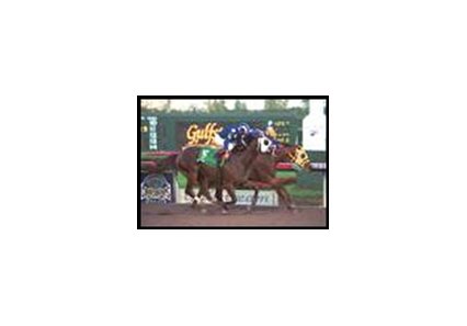 Showmeitall's Hutcheson victory was among the top prep races from last weekend.