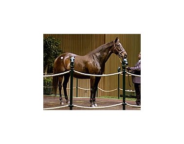 Windsharp, sold for $6.1 million.