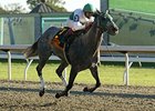 Informed Decision streaks to a new track record in the Raven Run.