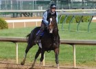 Zenyatta at Churchill Downs.