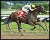 Shine Again, Jerkens Hit 'Home Run' With 21-1 Ballerina Score Shine Again, Jerkens Hit 'Home Run' With 21-1 Ballerina Score