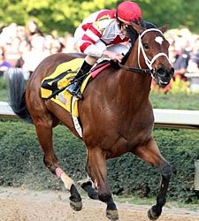 Havre de Grace Downs Blind Luck in Azeri Havre de Grace Downs Blind Luck in Azeri