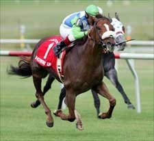 Showing Up Finds Colonial Turf Cup Spotlight Showing Up Finds Colonial Turf Cup Spotlight