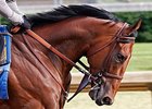 American Pharoah Continues Churchill Training American Pharoah Continues Churchill Training