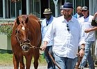I'll Have Another and Doug O'Neill
<br><a target="blank" href="http://photos.bloodhorse.com/TripleCrown/2012-Triple-Crown/Belmont-Stakes-144/23333063_3WZKbw#!i=1893725513&k=kkTWj2g">Order This Photo</a>