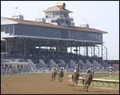 Churchill Indicates Desire to Sell Ellis Park Churchill Indicates Desire to Sell Ellis Park