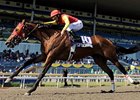 Plate Trial Stakes winner Eye of the Leopard