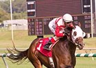 Jazzy Idea flies to a new track record in the Jameela Stakes.