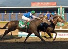 Hastings Posts Gains in Handle, Purses Hastings Posts Gains in Handle, Purses