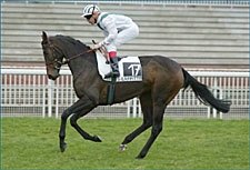 Team Valor's Sweet Stream Wins Prix Vermeille Team Valor's Sweet Stream Wins Prix Vermeille