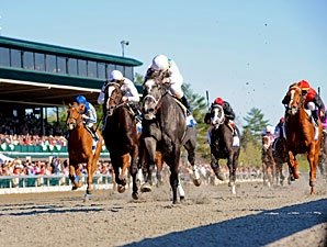Proposed Network to Offer 80 Racing Feeds Proposed Network to Offer 80 Racing Feeds