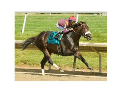 Our Edge made easy work of 10 rivals in the 2009 Barbaro Stakes at Delaware Park.