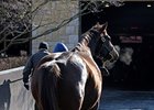 Keeneland Numbers Decline Once Again Keeneland Numbers Decline Once Again