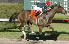 Storm Flag Flying Makes Last Start in Distaff Storm Flag Flying Makes Last Start in Distaff