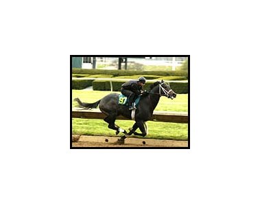 Unbridled's Song colt, in action during sale preview, sold for $850,000 at Keeneland's 2-year-olds in training sale.