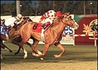 Sweet Return, en route to Hollywood Derby victory.