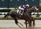 Sport Page Handicap winner Tasteyville will miss the Cigar Mile.