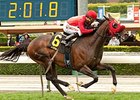 Si Sage wins the Last Tycoon Stakes.