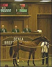 OBS Yearling Sale Gets Off to Fast Start; Gross, Average, Median Rise in Select Session OBS Yearling Sale Gets Off to Fast Start; Gross, Average, Median Rise in Select Session