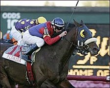 Proud Man Rallies to Win Franks Farms Turf Proud Man Rallies to Win Franks Farms Turf