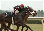 Mighty Mecke Among OBS Championship Day Winners Mighty Mecke Among OBS Championship Day Winners