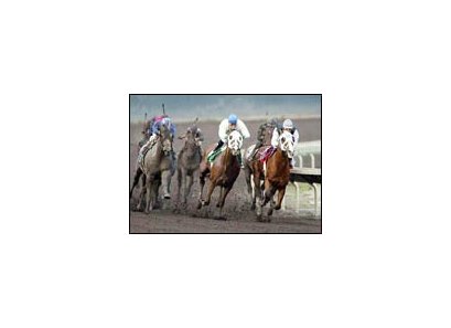 Standard Setter led throughout to post Golden Gate Derby upset.