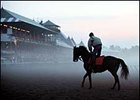 Saratoga Morning