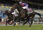 Deputiformer rallied from 11th in the stretch to nip Cryptonite Kid by a neck in the Cup and Saucer Stakes, Sunday at Woodbine.