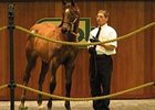 OBS Mixed Sale Ends With Big Downturns OBS Mixed Sale Ends With Big Downturns