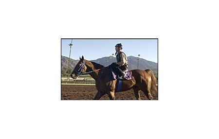 Shake You Down, Scott Lake's Sprint hopeful.