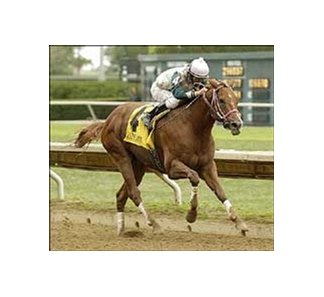 Elusive Jazz makes graded stakes debut with Phoenix BC win.