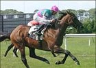 Art Master, with jockey Garrett Gomez, wins the Poker Stakes, Saturday at Belmont Park.<br><a target="blank" href="http://www.bloodhorse.com/horse-racing/photo-store?ref=http%3A%2F%2Fpictopia.com%2Fperl%2Fgal%3Fprovider_id%3D368%26ptp_photo_id%3D1721772%26ref%3Dstory">Order This Photo</a>