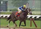 Prado Guides Favored Ashado in Schuylerville Prado Guides Favored Ashado in Schuylerville
