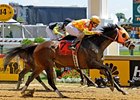 Super Espresso overtakes Payton D'oro to win the Allaire du Pont Distaff Stakes.<br><a target="blank" href="http://www.bloodhorse.com/horse-racing/photo-store?ref=http%3A%2F%2Fpictopia.com%2Fperl%2Fgal%3Fprovider_id%3D368%26ptp_photo_id%3D9533257%26ref%3Dstory">Order This Photo</a>
