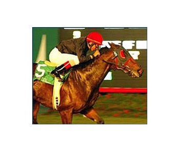 Good Reward wins the Hollywood Derby, Sunday at Hollywood Park.