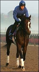 Steve Haskin's Classic Report: Godolphin Throws a Curve Steve Haskin's Classic Report: Godolphin Throws a Curve