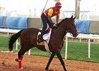 Hypbaric gets in some work at Nad al Sheba March 23.
