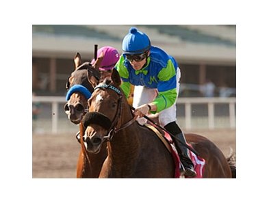 Include Me Out and Joe Talamo take the Marjorie L. Everett Handicap.