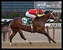 Affirmed Success Wins Toboggan by Two Lengths Affirmed Success Wins Toboggan by Two Lengths