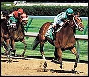 Spain Retired From Racing Spain Retired From Racing