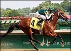 Kodiak Kowboy Heads Saratoga Special Field Kodiak Kowboy Heads Saratoga Special Field
