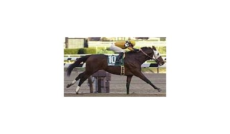 Ommadon, shown winning the Nashua Stakes as a juvenile, impressed in his 3-year-old at Aqueduct on March 28.
